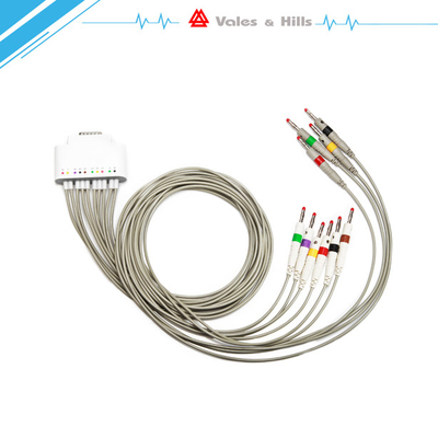 WiFi Ambulatory ECG Monitoring Simultaneous 12 Leads Ambulatory Ecg Recorder